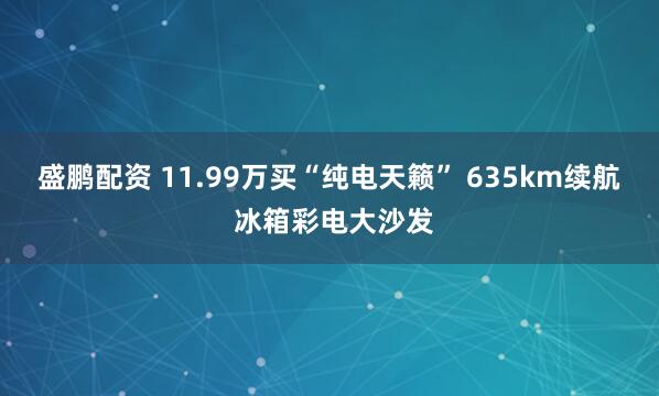 盛鹏配资 11.99万买“纯电天籁” 635km续航 冰箱彩电大沙发