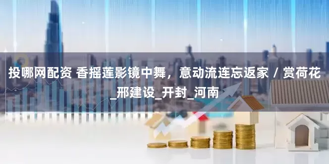 投哪网配资 香摇莲影镜中舞，意动流连忘返家 / 赏荷花_邢建设_开封_河南