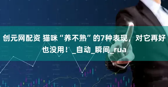 创元网配资 猫咪“养不熟”的7种表现，对它再好也没用！_自动_瞬间_rua
