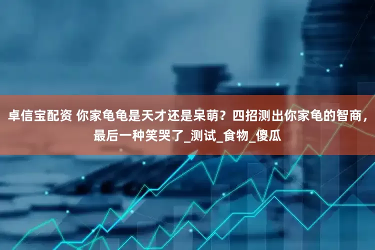 卓信宝配资 你家龟龟是天才还是呆萌？四招测出你家龟的智商，最后一种笑哭了_测试_食物_傻瓜