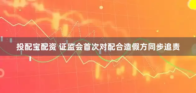投配宝配资 证监会首次对配合造假方同步追责